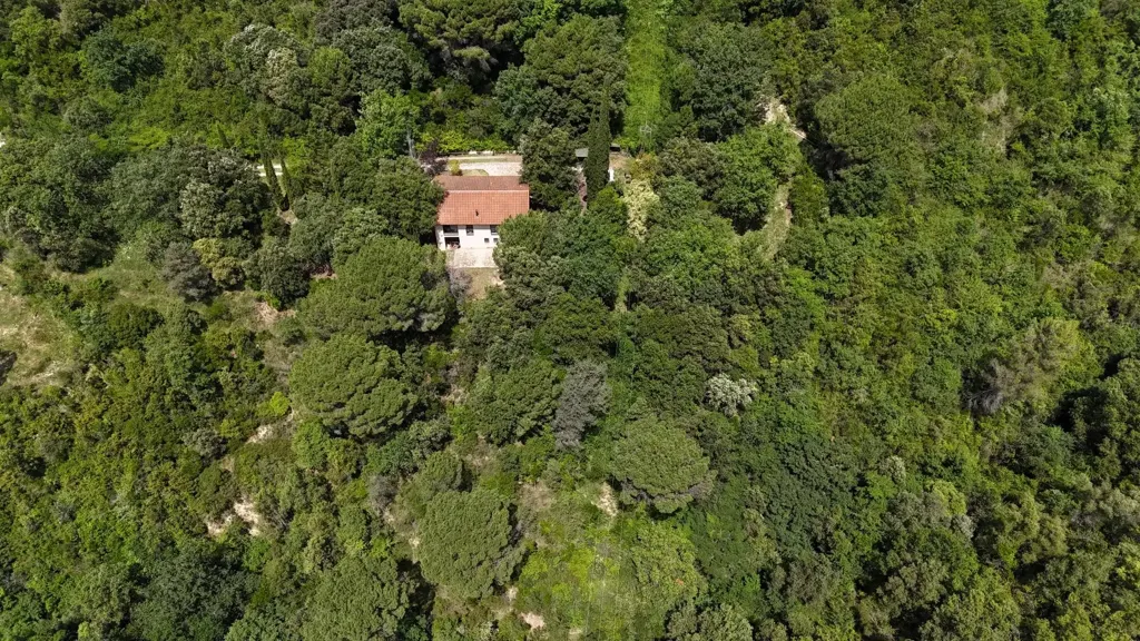 Õhuvaade - Chalet with Private Forest in Sant Aniol de Finestres