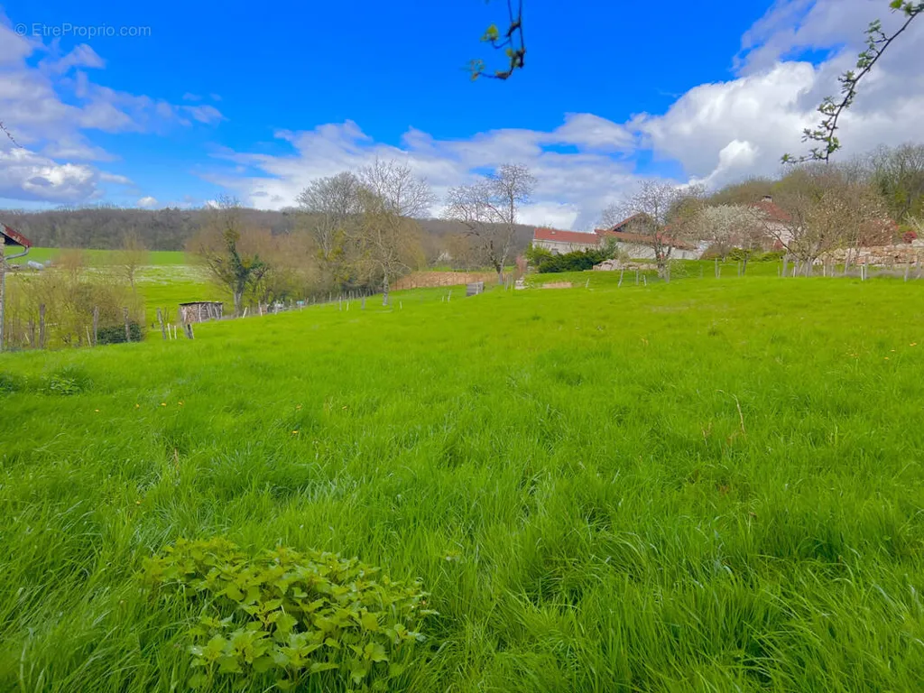 Jardin - Terrain Constructible avec Vue Campagne à Saligney