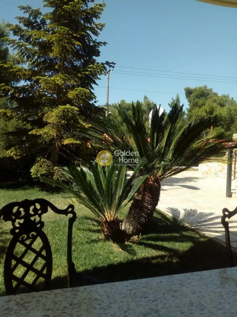 Terrasse - Modern Mezzanine Apartments with Garden in Thriasio