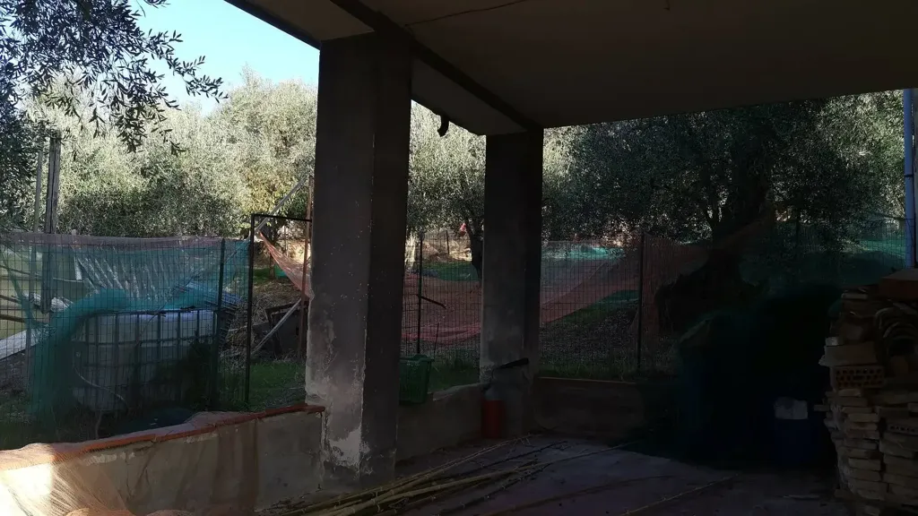 Terrasse - Rustic House with Olive Grove in Vicopisano