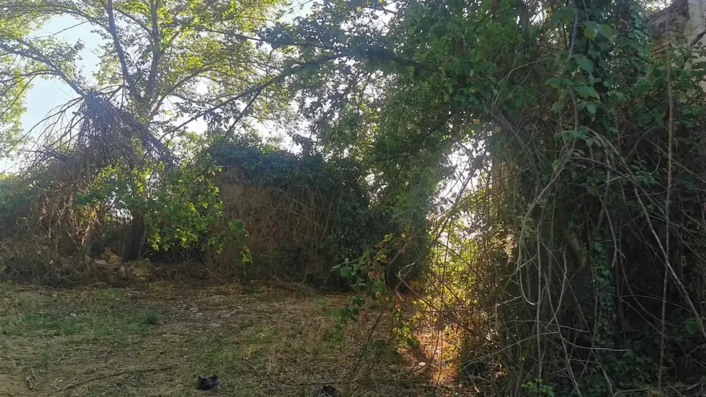 Jardin - Rustic Farmhouse with Sea View in Civitanova Alta