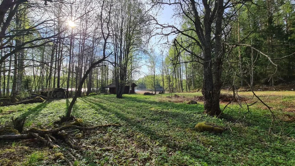 Garden - Rustic House Land with Lake View in Padasjoki