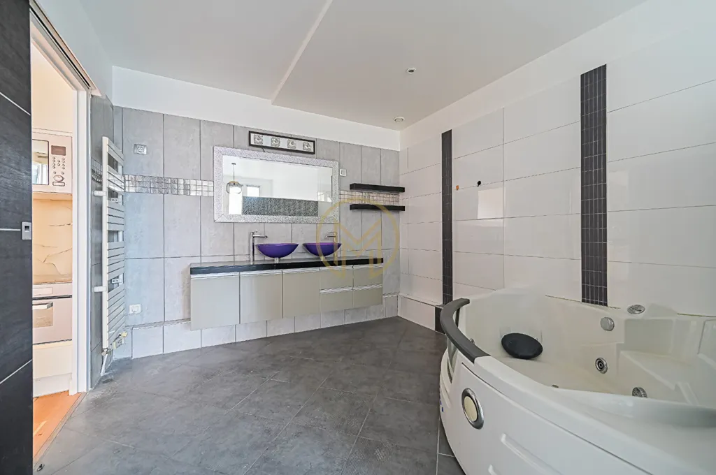 Vannitoad - Apartment with West-Facing Terrace in Paris 9th
