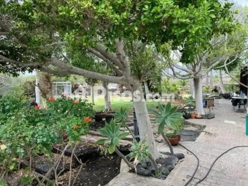 Jardin - Chalet with Traditional Canarian Style in Lanzarote