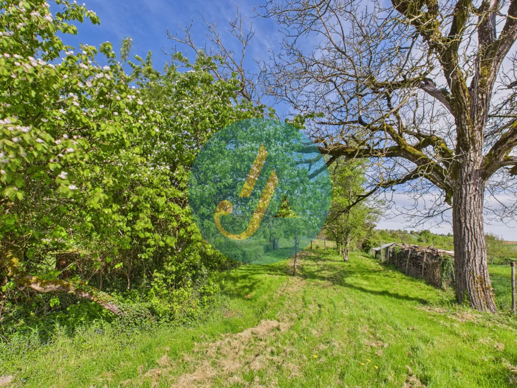 Jardin - Maison de Campagne avec Dépendances à Arbourse
