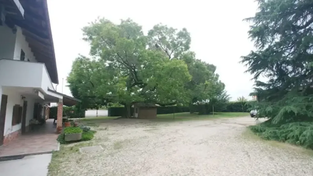 Välivaade - Rustic House with Garden in Rivalta di Torino
