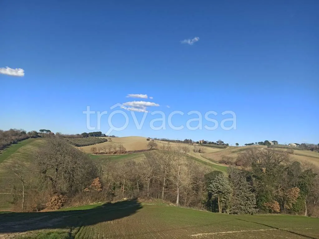 Giardino - Rustic Casale with Panoramic Views near Castiglione del Lago