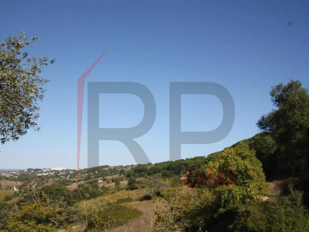 Aed - Farm with Panoramic View in Serra do Louro