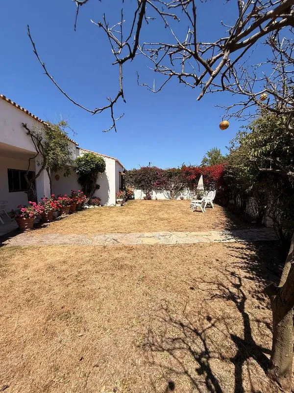 Jardin - Chalet with Terrace in Guadalmina Baja