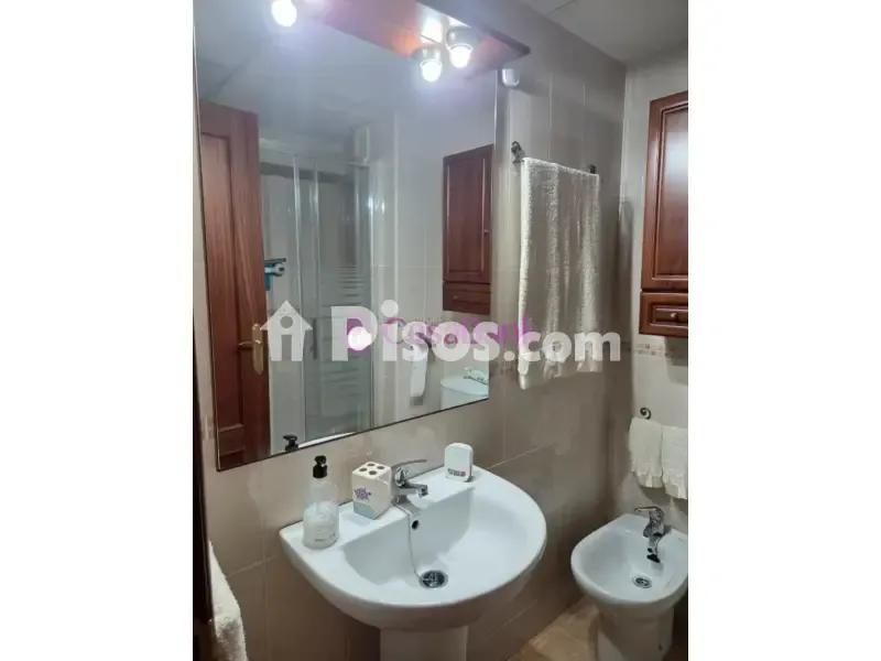 Salles de bain - Reformed Apartment with Air Conditioning in Viñuela