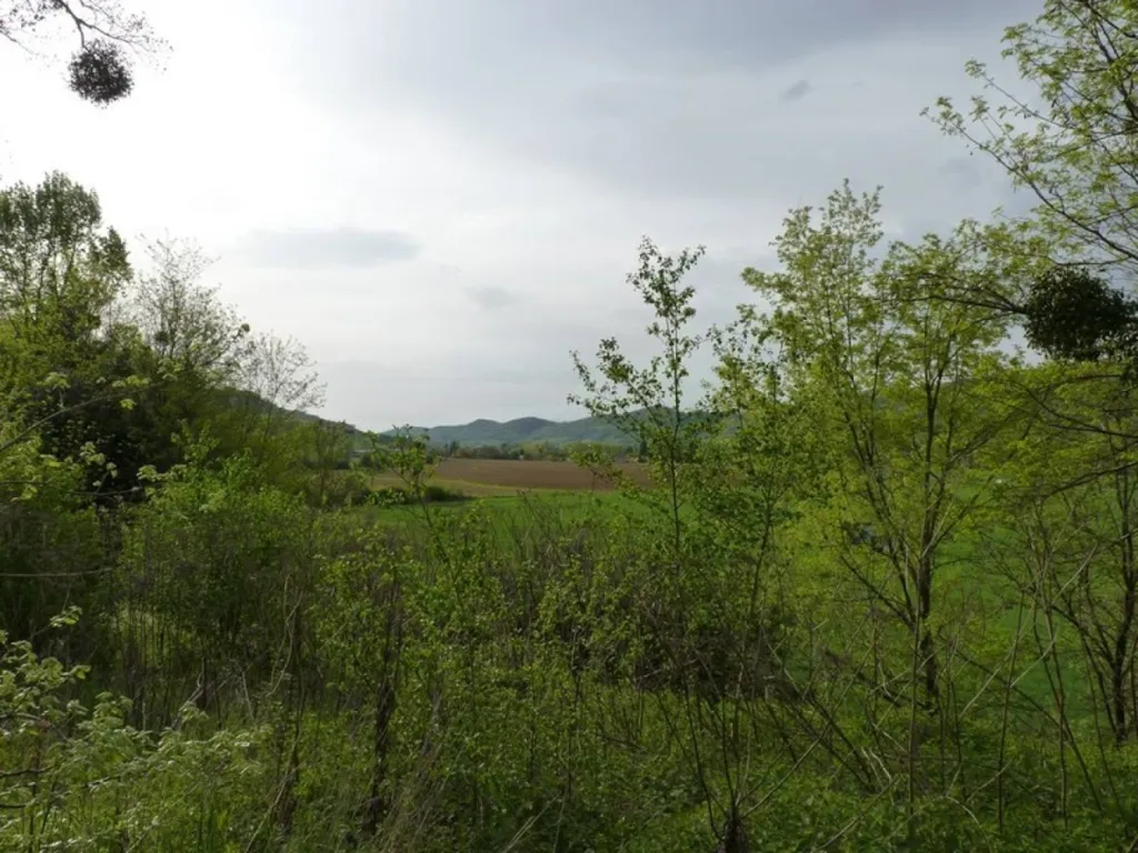 Classified Monastery with Garden View near Foix