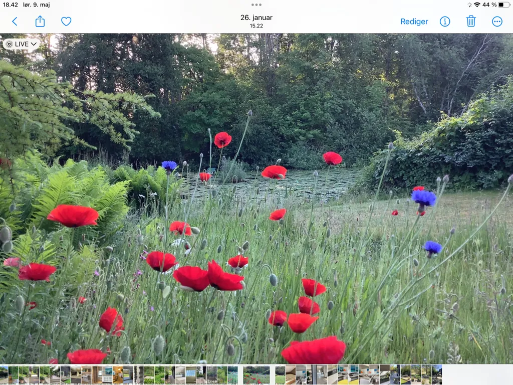 Aed - Villa Apartment with Garden in Nature