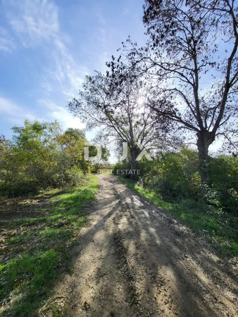Aed - Agricultural Land with Water Source in Poličnik