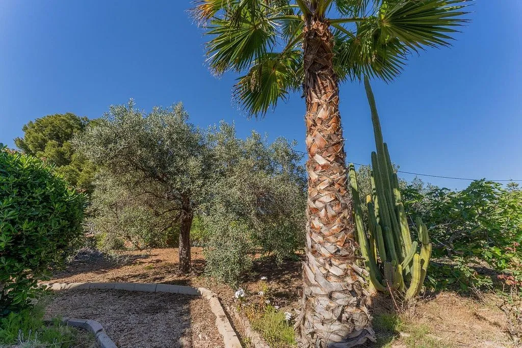 Aed - Chalet with Pool in El Altet