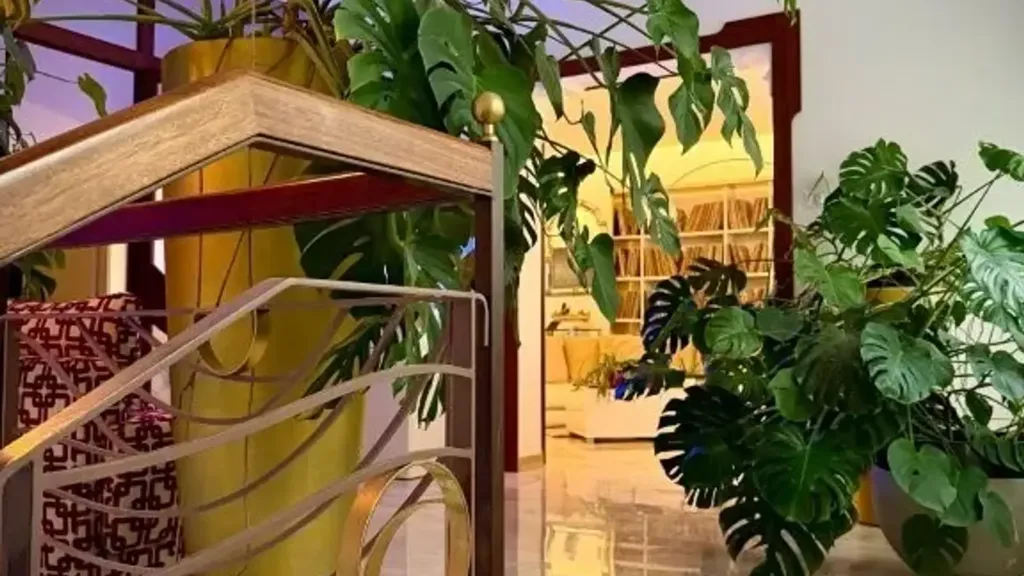 staircase