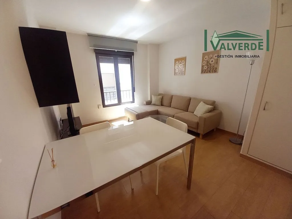 Living Room - Ample 1-Bedroom Apartment in Sagrario Centre
