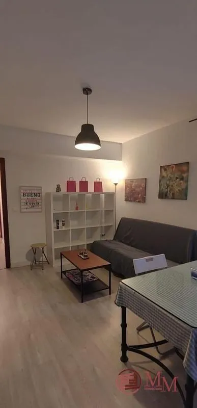 Living Room - Furnished Flat with Balcony in Ciudad Jardín