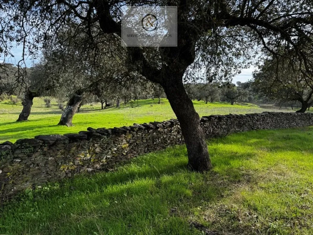 Aed - Villa with Coastal Access in Cheles, Extremadura