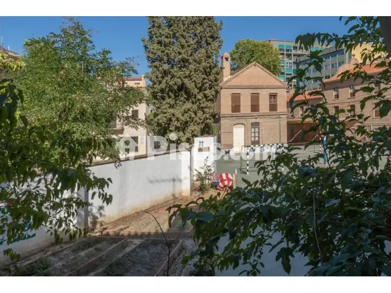 Garden - Renovated Flat with Northwest View in Alhamar