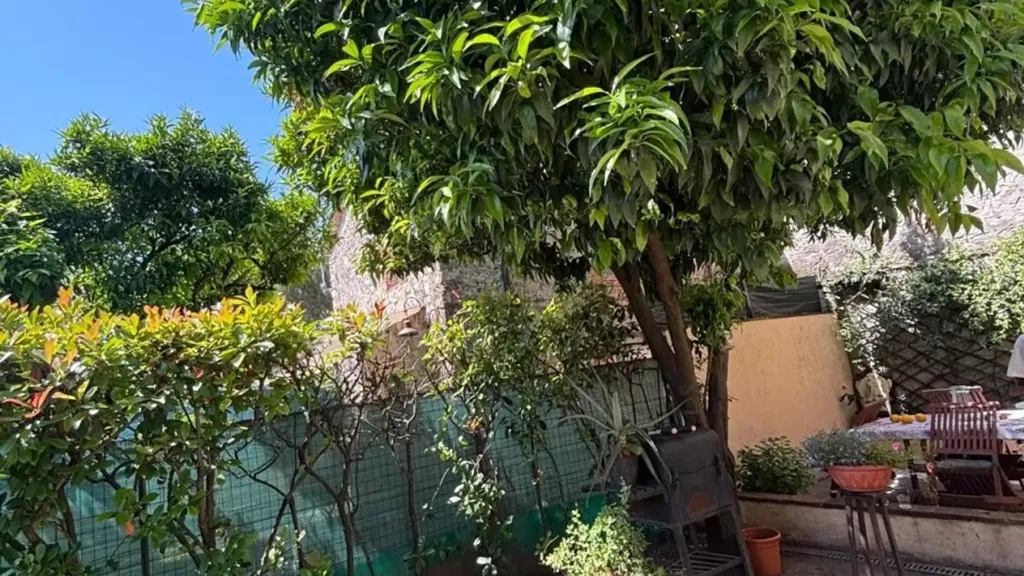 Jardin - Tuscan Terratetto with Private Courtyard in Camaiore