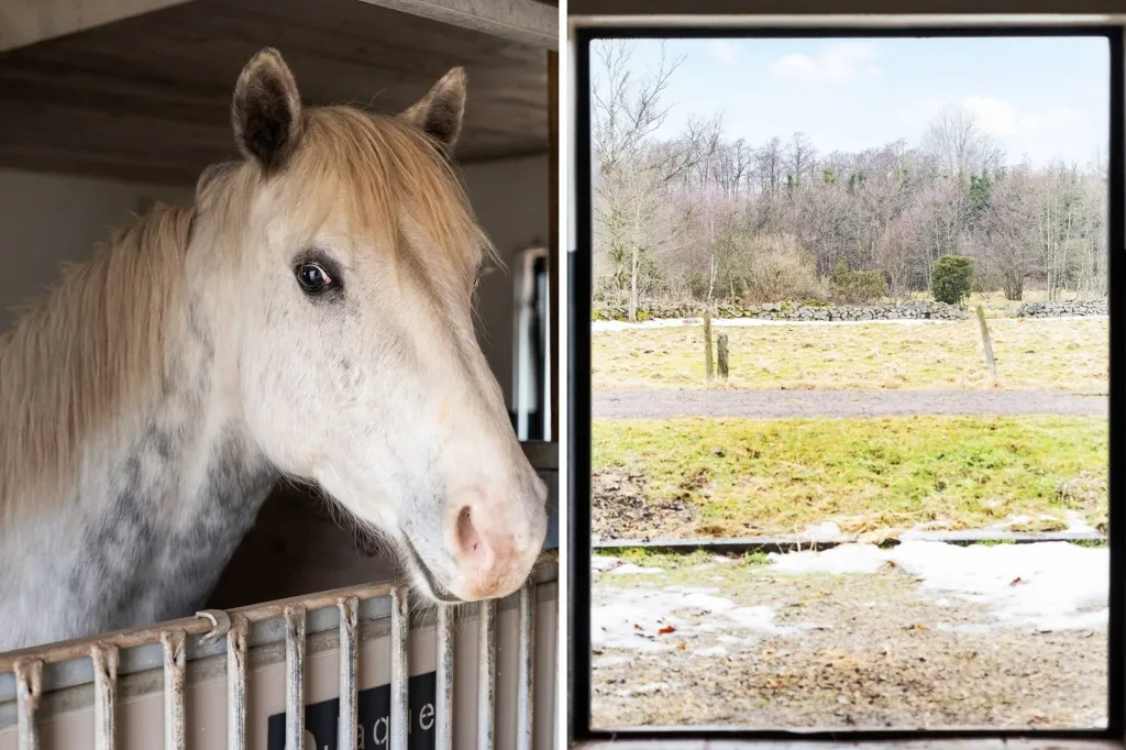Pièces - Renovated Equestrian House near Hörby