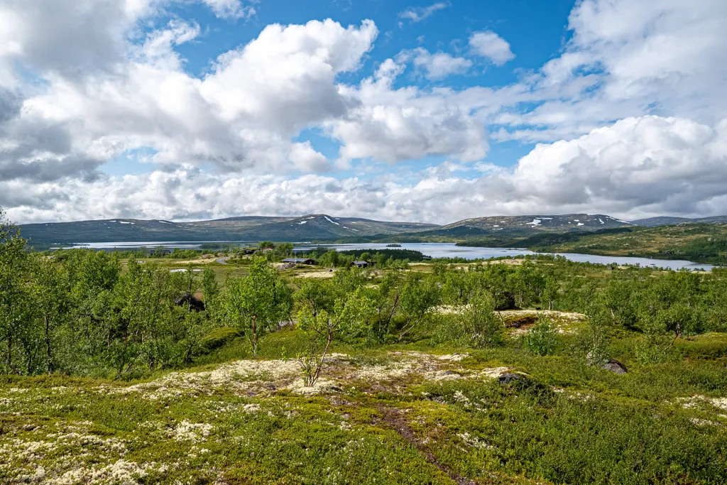 Traditional Timber Cabin with Mountain Views in Ålen