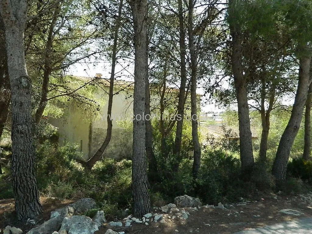 Giardino - Rustic Farmhouse with Terrace in Teulada
