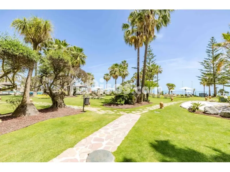 Aed - Luxury Apartment with Jacuzzi Terrace in Estepona