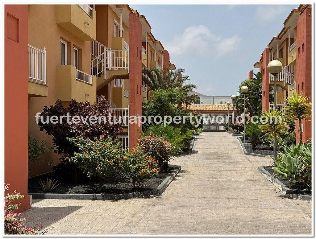 Aed - Apartment with Pool and Terrace in Corralejo