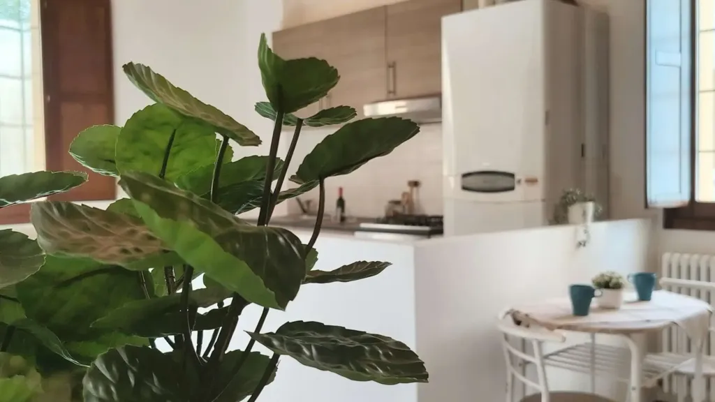 Köök - Studio with Private Courtyard in Cento