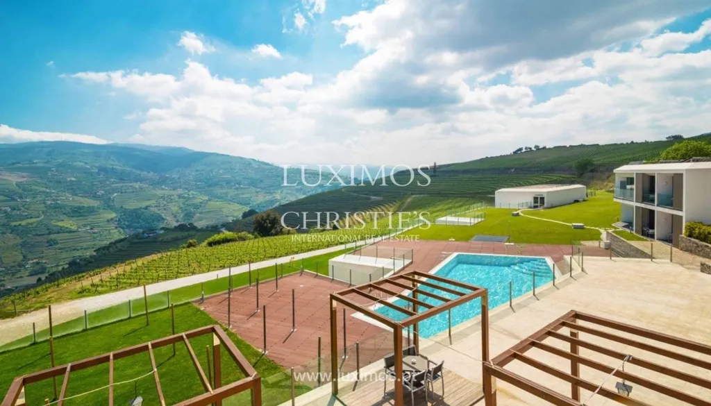 Bassein - 5-Star Quinta with Vineyard Views in Douro Valley