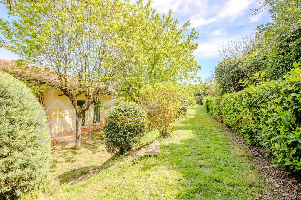 Garden - Panoramic Villa with Garden in Bagno a Ripoli