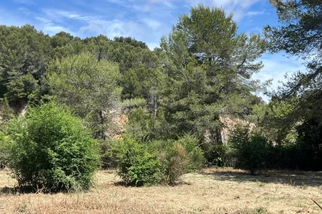 Aed - Land with Construction Permits in Mougins