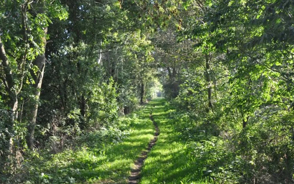 Giardino - Year-Round Plot with 5G Coverage in Gørlev
