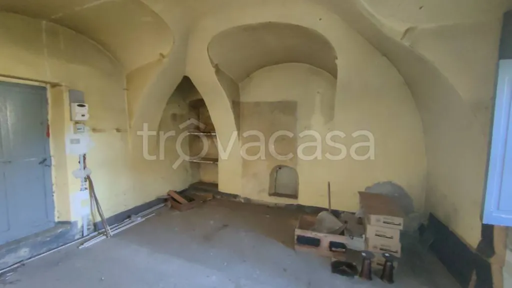 Toad - Rustic Cottage for Renovation in Caprie