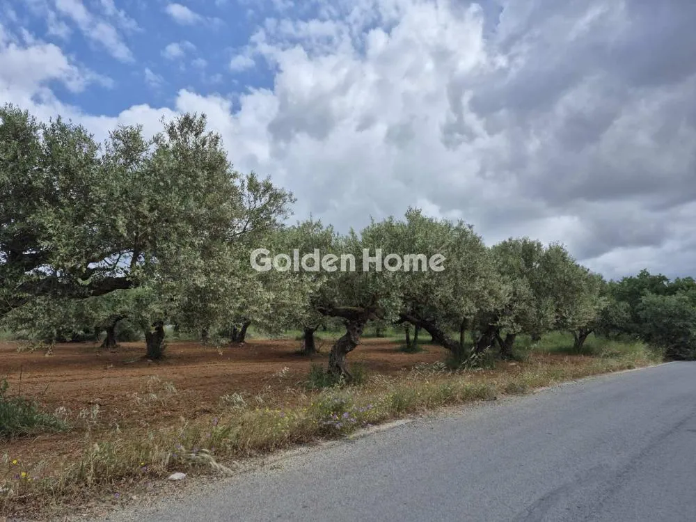 Aed - Buildable Plot with Airport Proximity in Minóa Pedíados