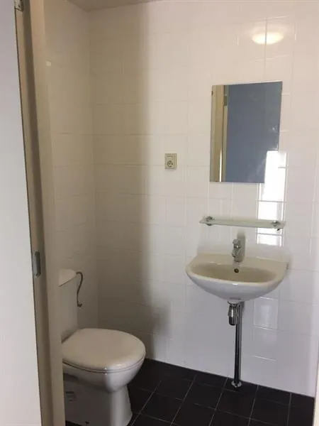 Salles de bain - Furnished Studio for Students in Leiden