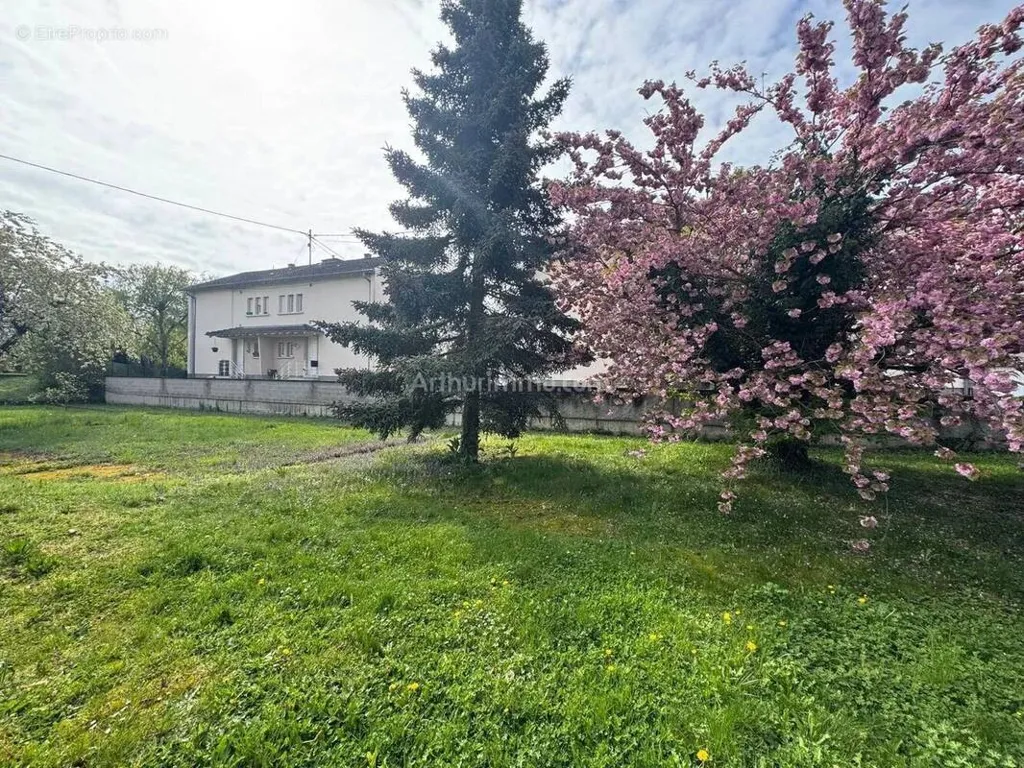 Aed - Construction Plot with Potential in Marckolsheim