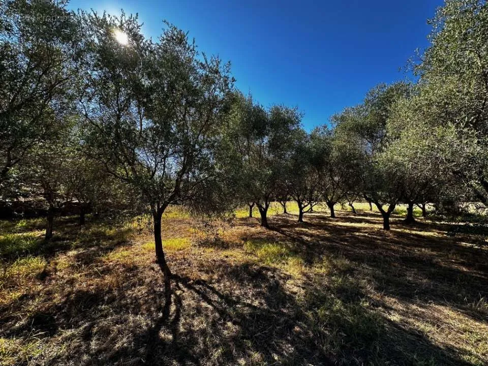 Maa asukohas Puget-Sur-Argens