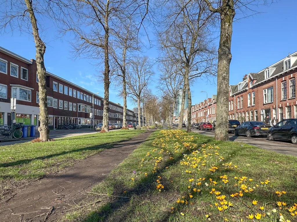 Välivaade - Furnished Apartment with Garden in Utrecht