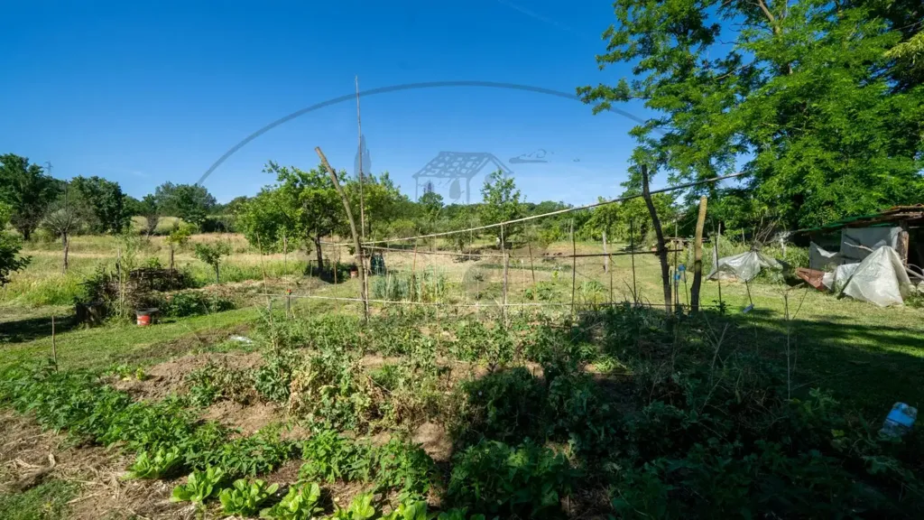 Aed - Rustic Farmhouse with Multiple Uses in Figline Valdarno