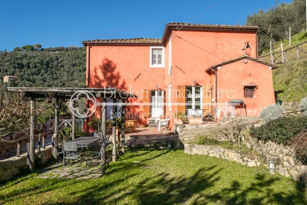 Exterior - Rustic Villa with Olive Grove in Massarosa