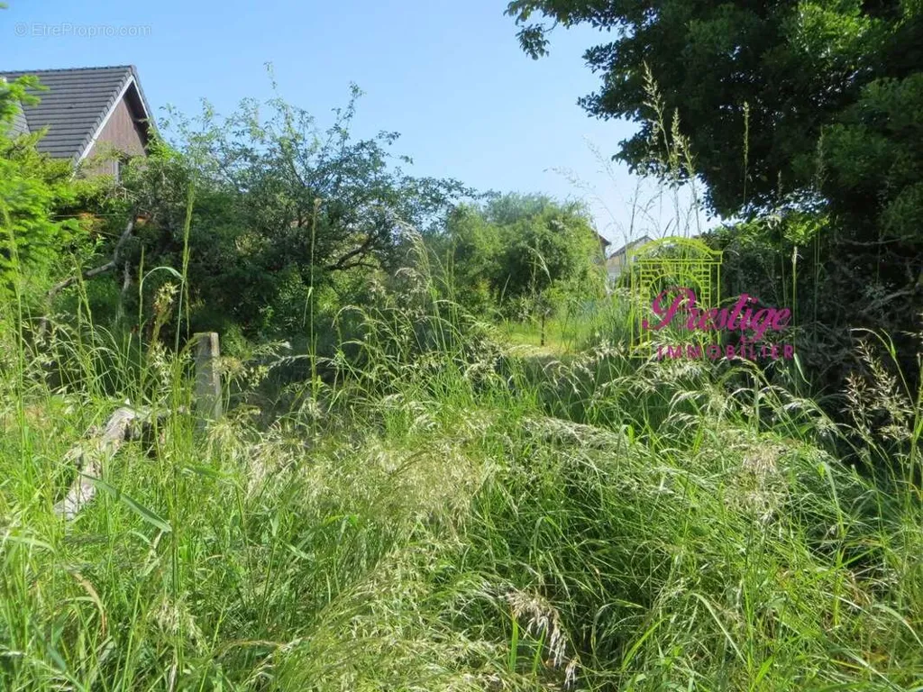 Aed - Luxury House with Greenbelt View in Le Mesnil-le-Roi