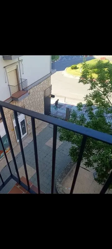 Rõdu - Apartment with Terrace in Plaza Moctezuma