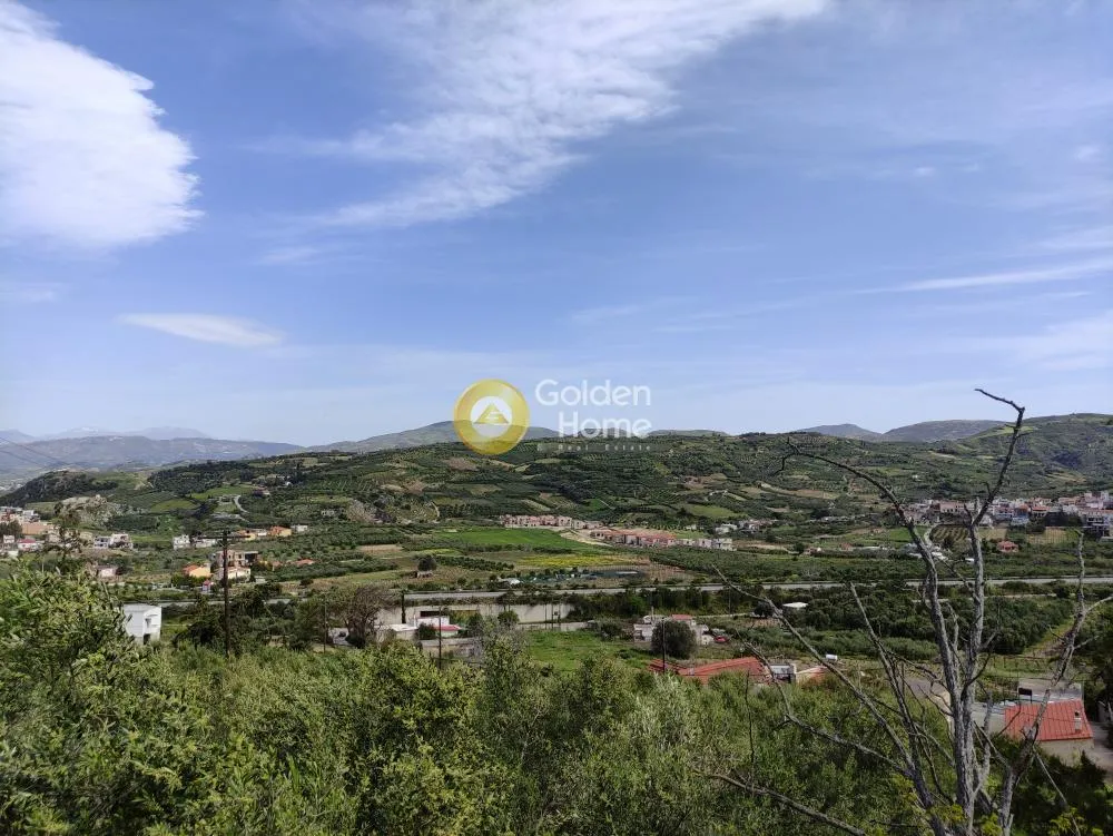 Buildable Plot with Olive Trees in Kerasia