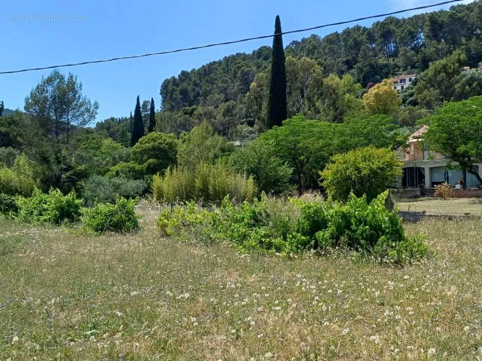 Aed - Sunny Plot with Garden in Sollies-Pont