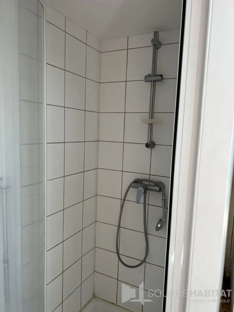 Salles de bain - Appartement Charmant sous les Toits à Clermont-Ferrand