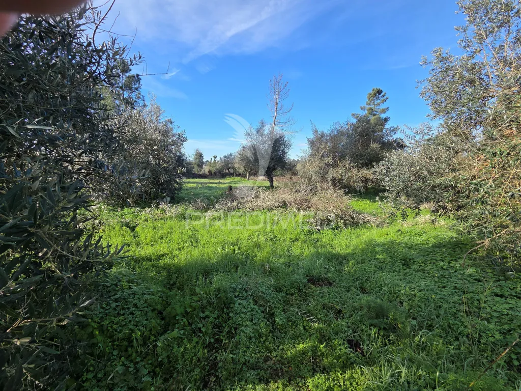 Aed - Urban Plot with Construction Permit in Ribatejo
