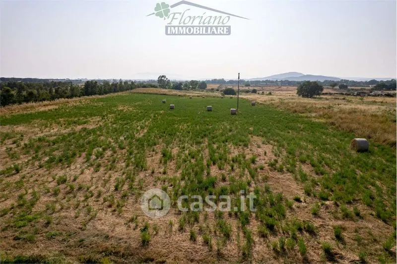Jardin - Rustic Casale with Panoramic View in Capalbio