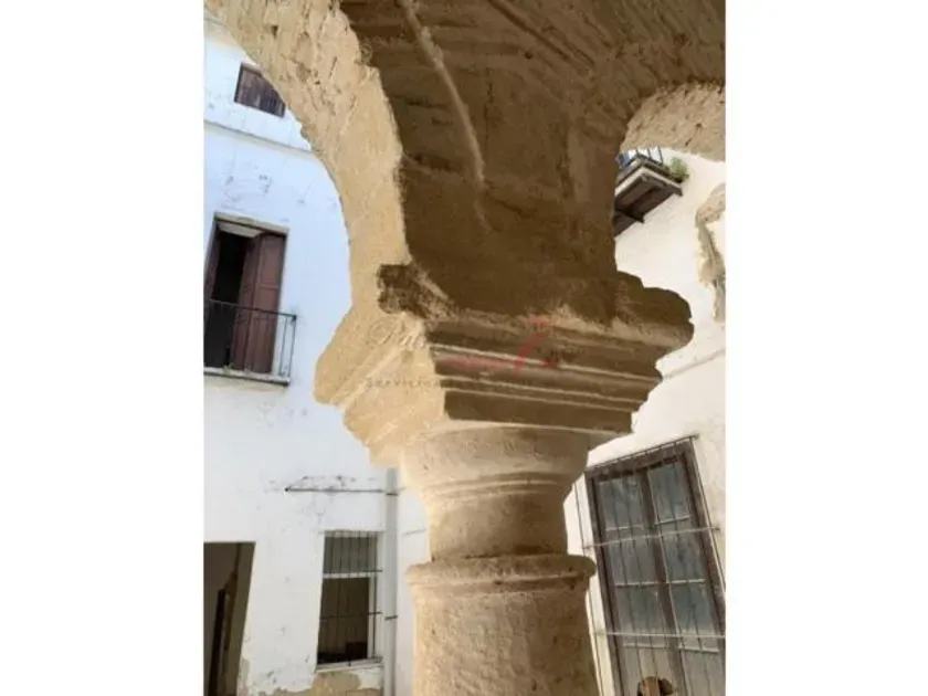 Giardino - Historic Chalet with Arched Patios in Jerez